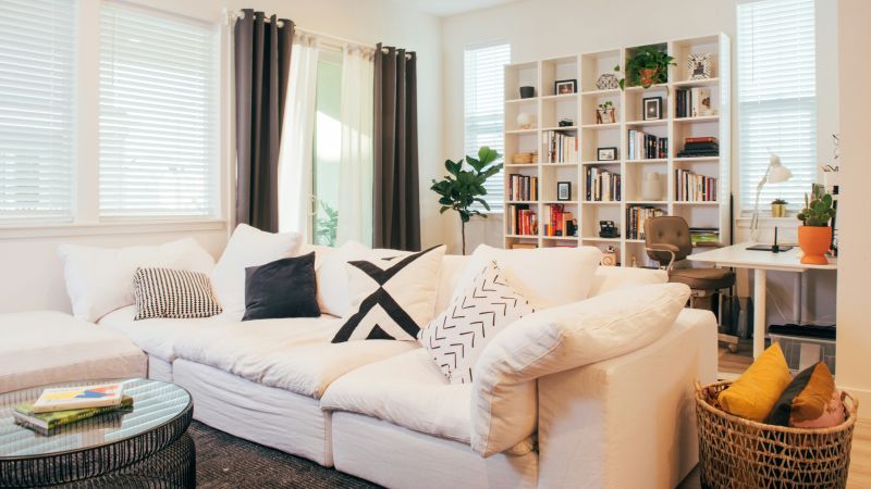 Clean, organized open room filled with fresh natural light after hoarder clean-up